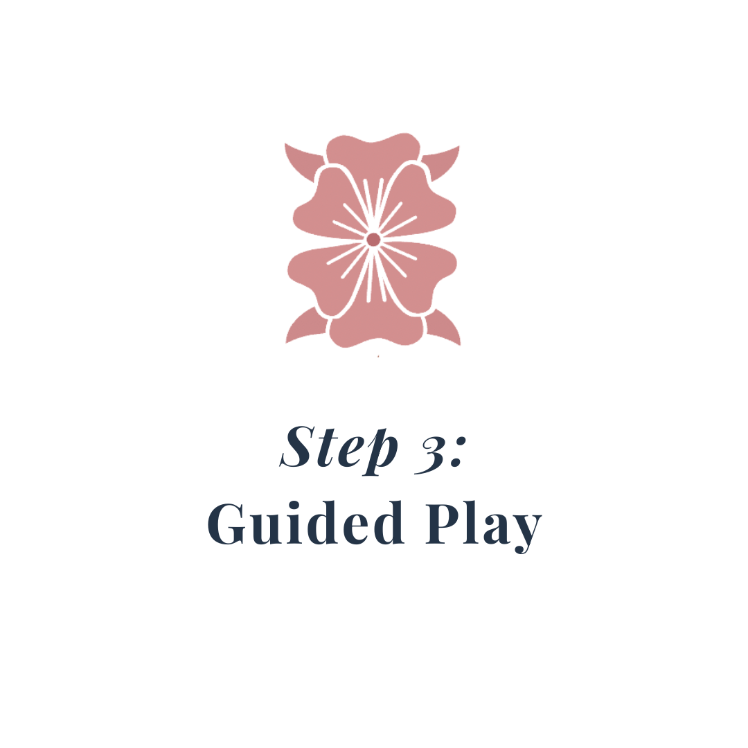 Step 3: Guided Play