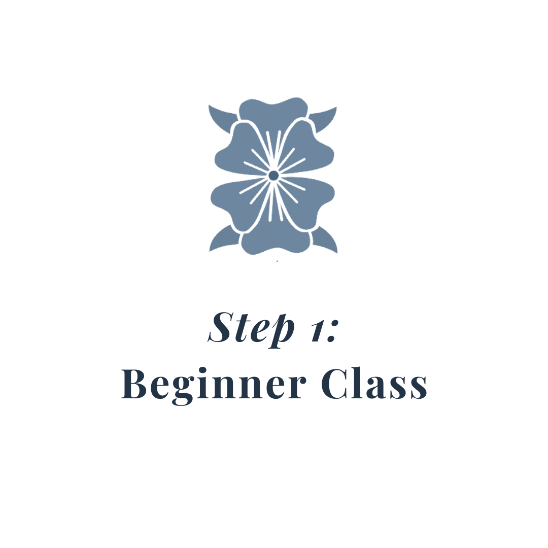 Step 1: Beginner Class
